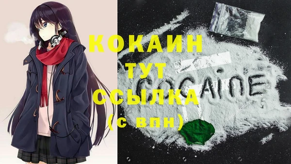соль ск Бородино
