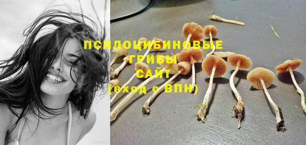 соль ск Бородино