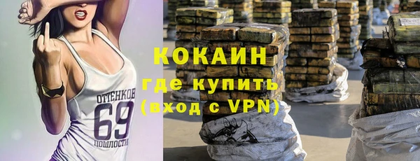 соль ск Бородино
