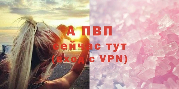 соль ск Бородино